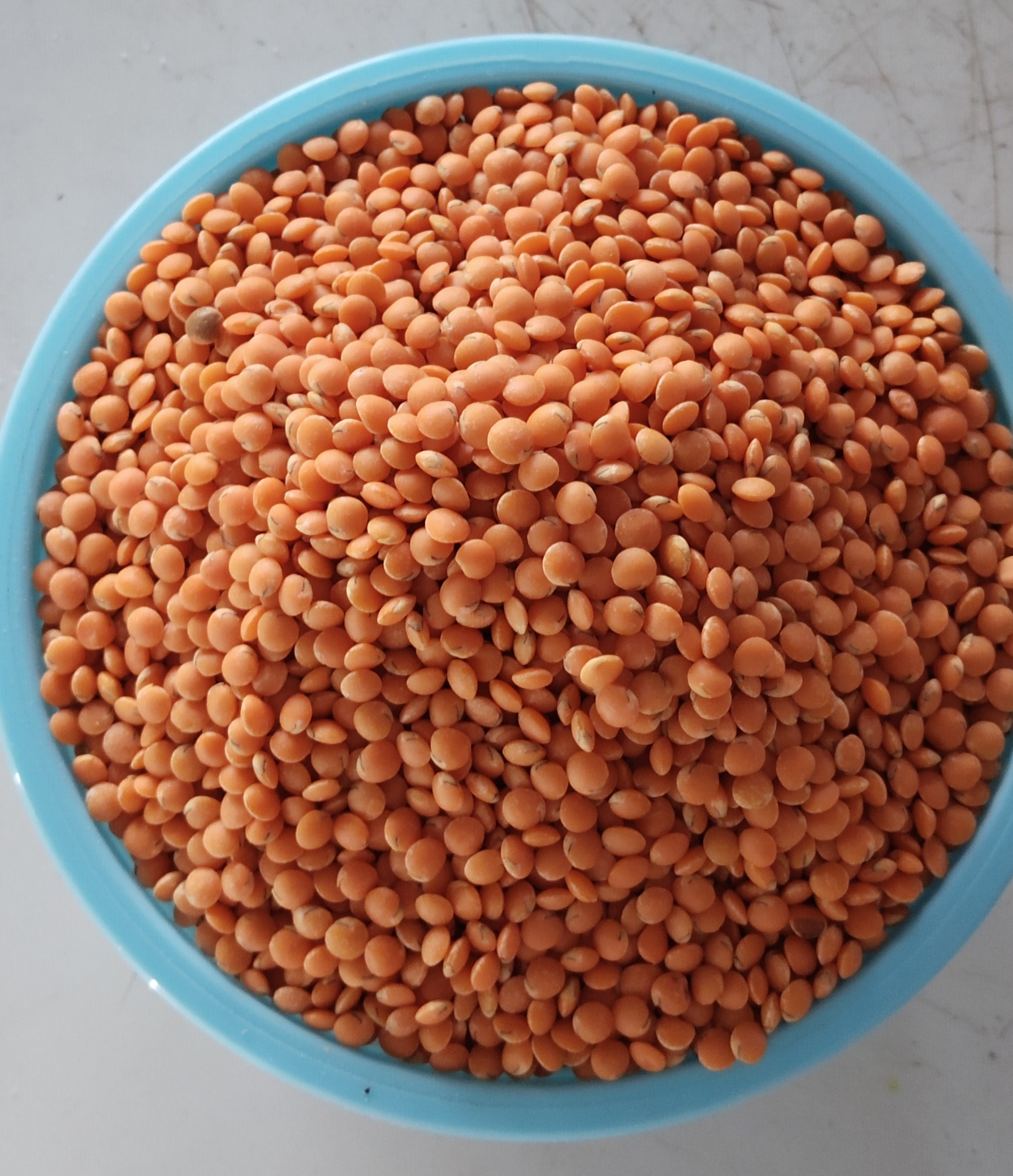 Masoor dal
