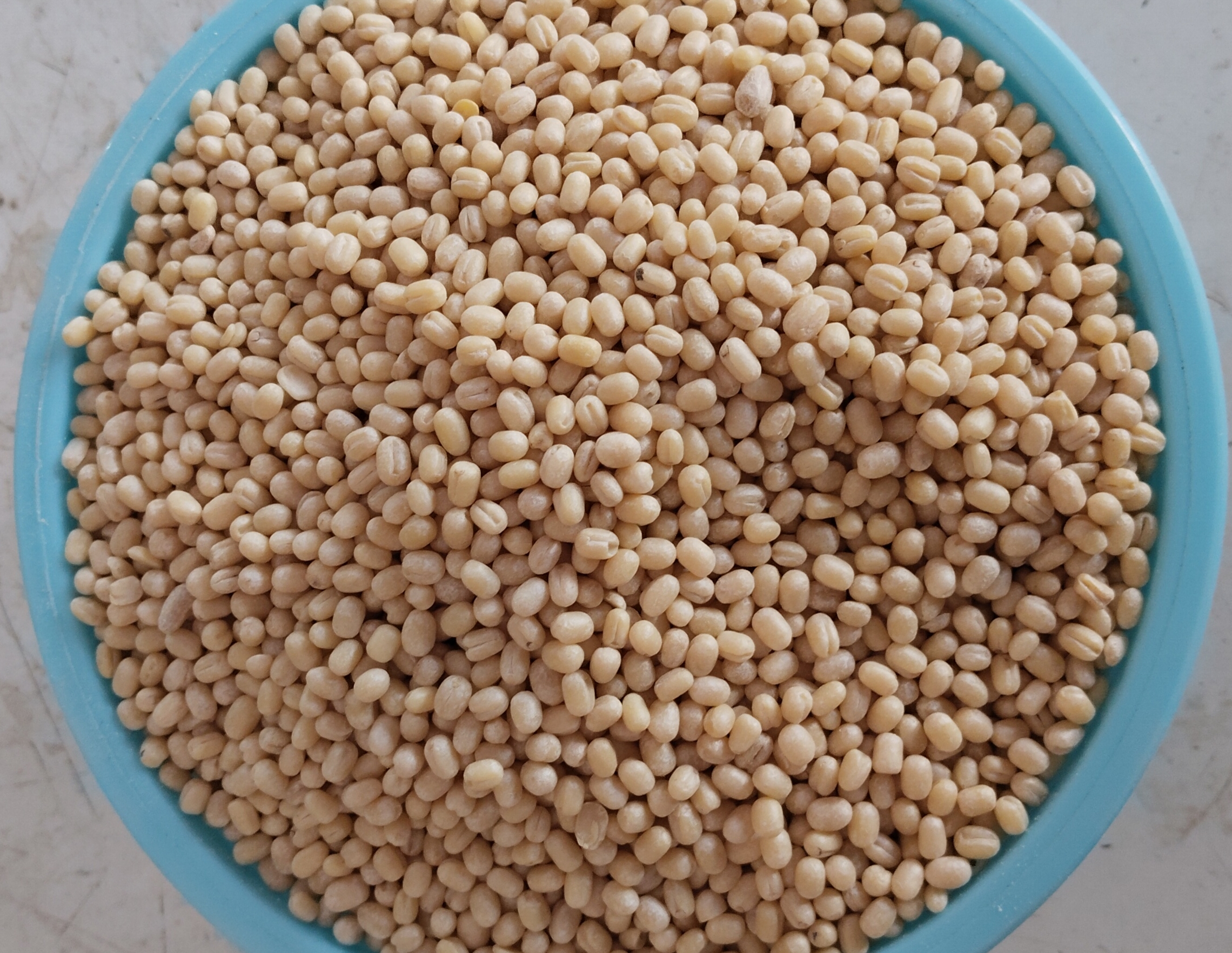 Urad dal 1kg